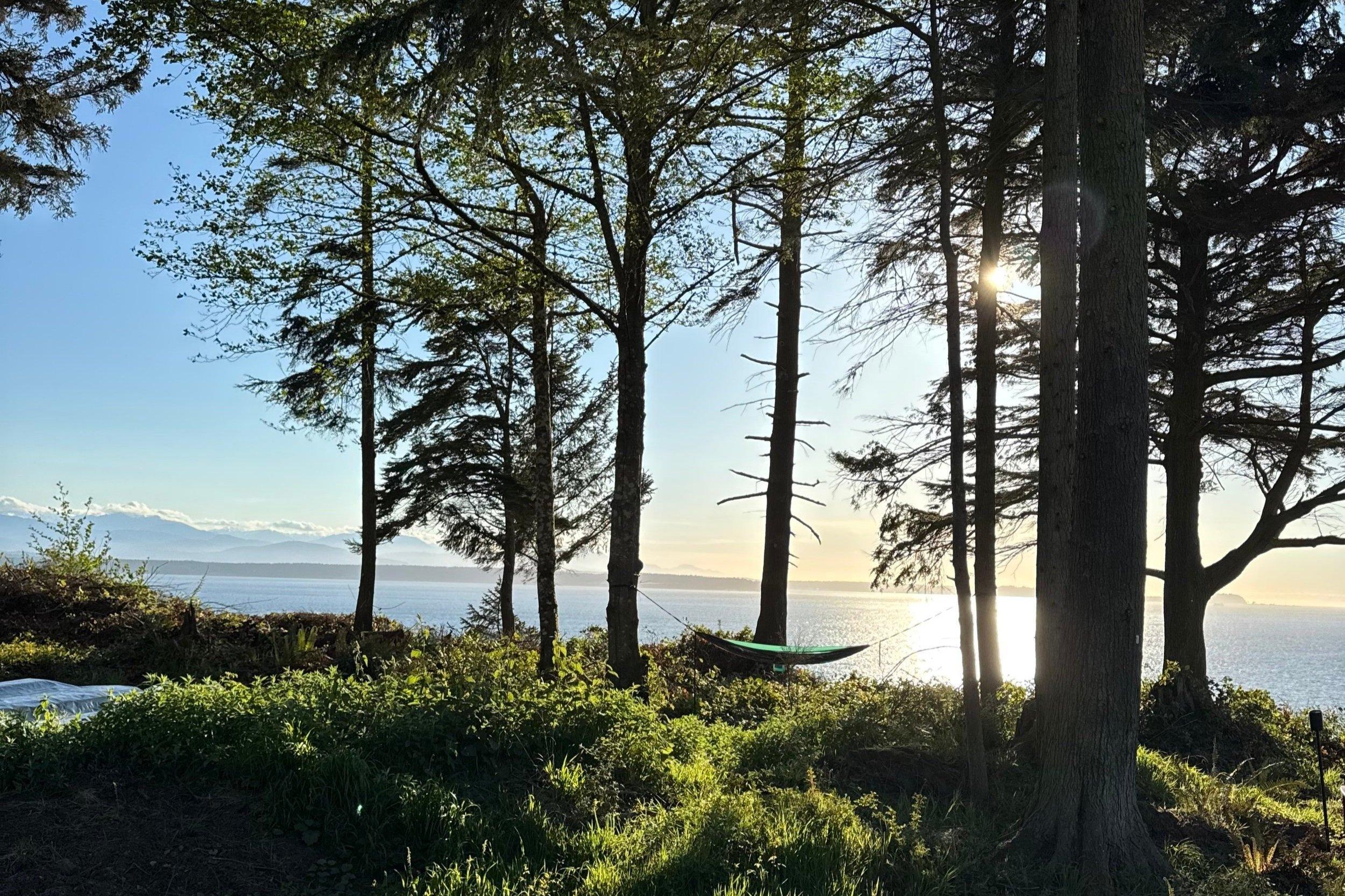 Camp Greyhaven property view