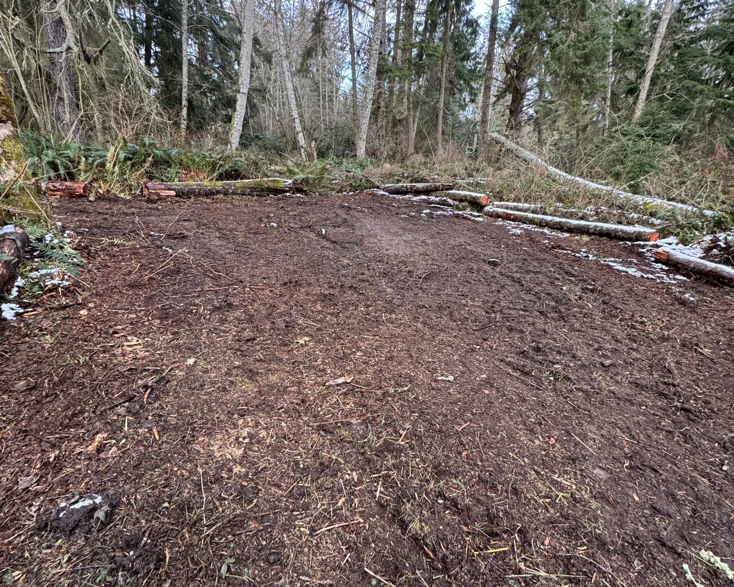 Looking down the natural corridor